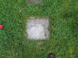 image of grave number 393776
